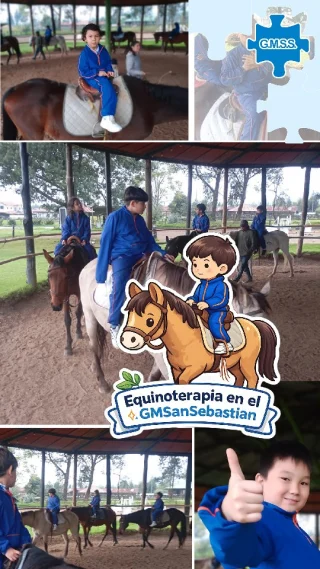 Instagram post from gmsansebastian. This post is in position 1.